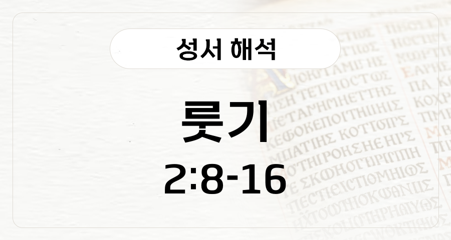 룻기 2:8-2:16